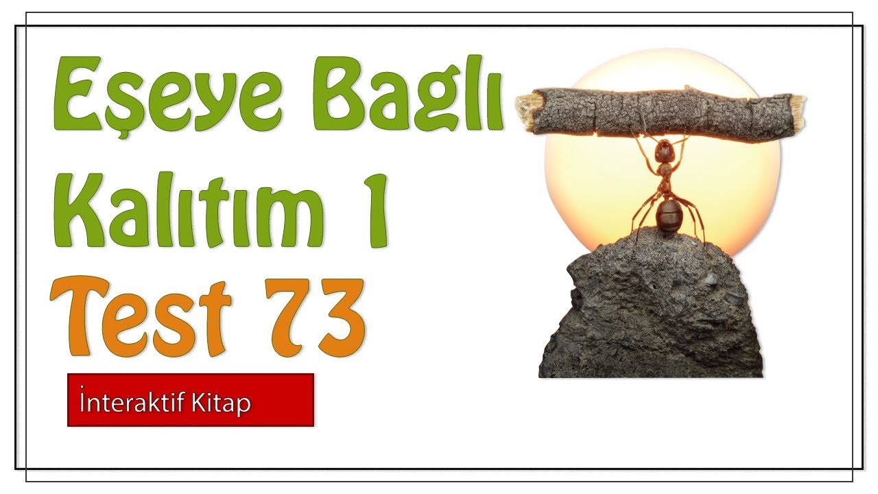 Test 73 #sayfa163