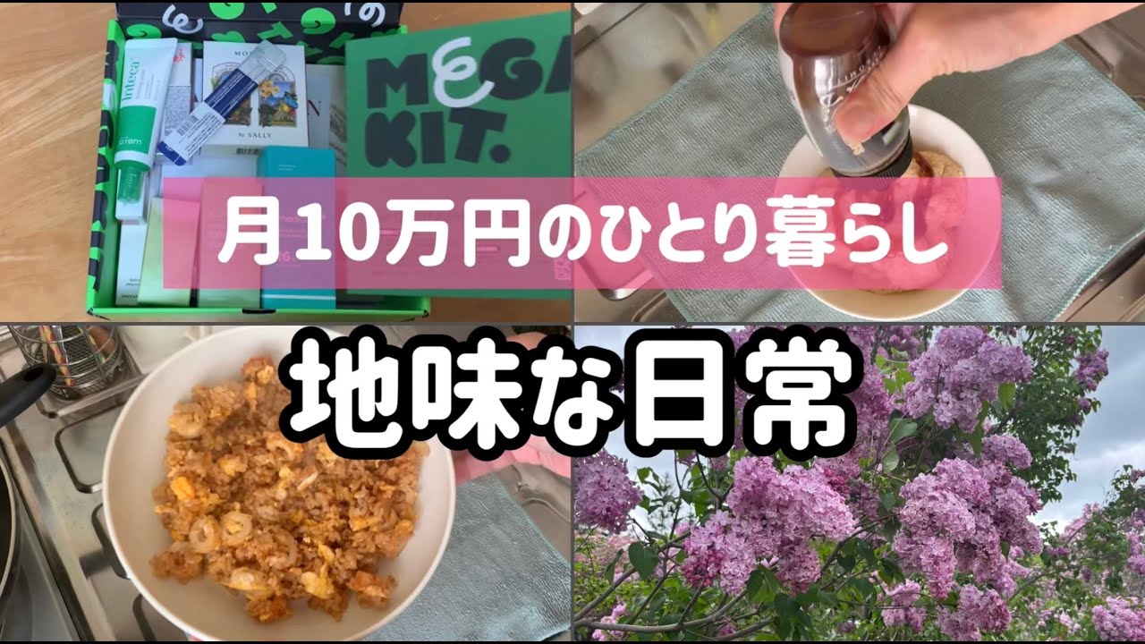 【お疲れアラフィフのひとり暮らし】地味な毎日/低収入/月10万円生活/残りものでご飯/体調不良