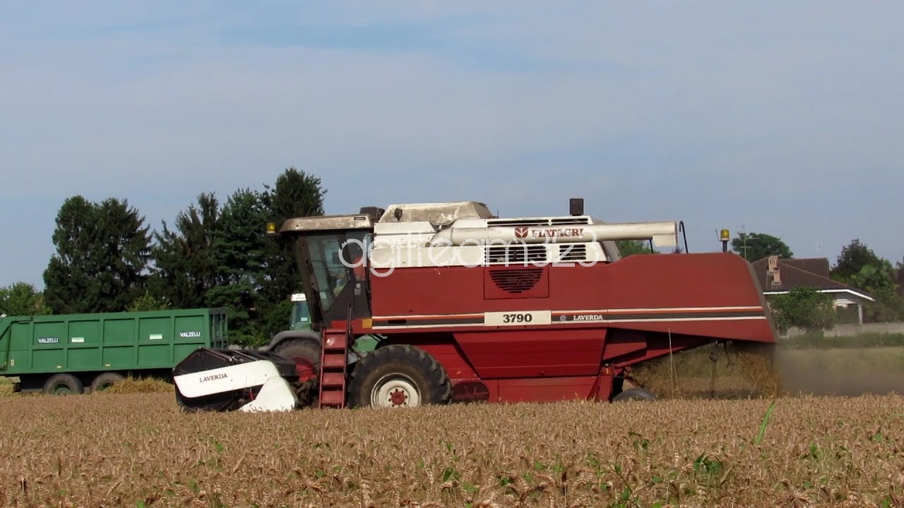 Fiatagri 3790 - Fendt 818 - Valzelli | trebbiatura | agriteam323