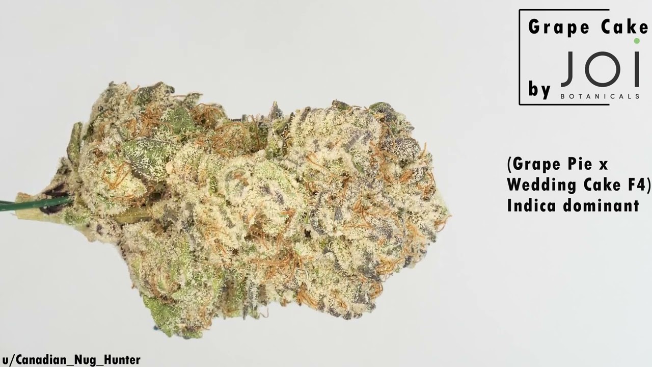 Grape Cake by JOI Botanicals Cannabis Review