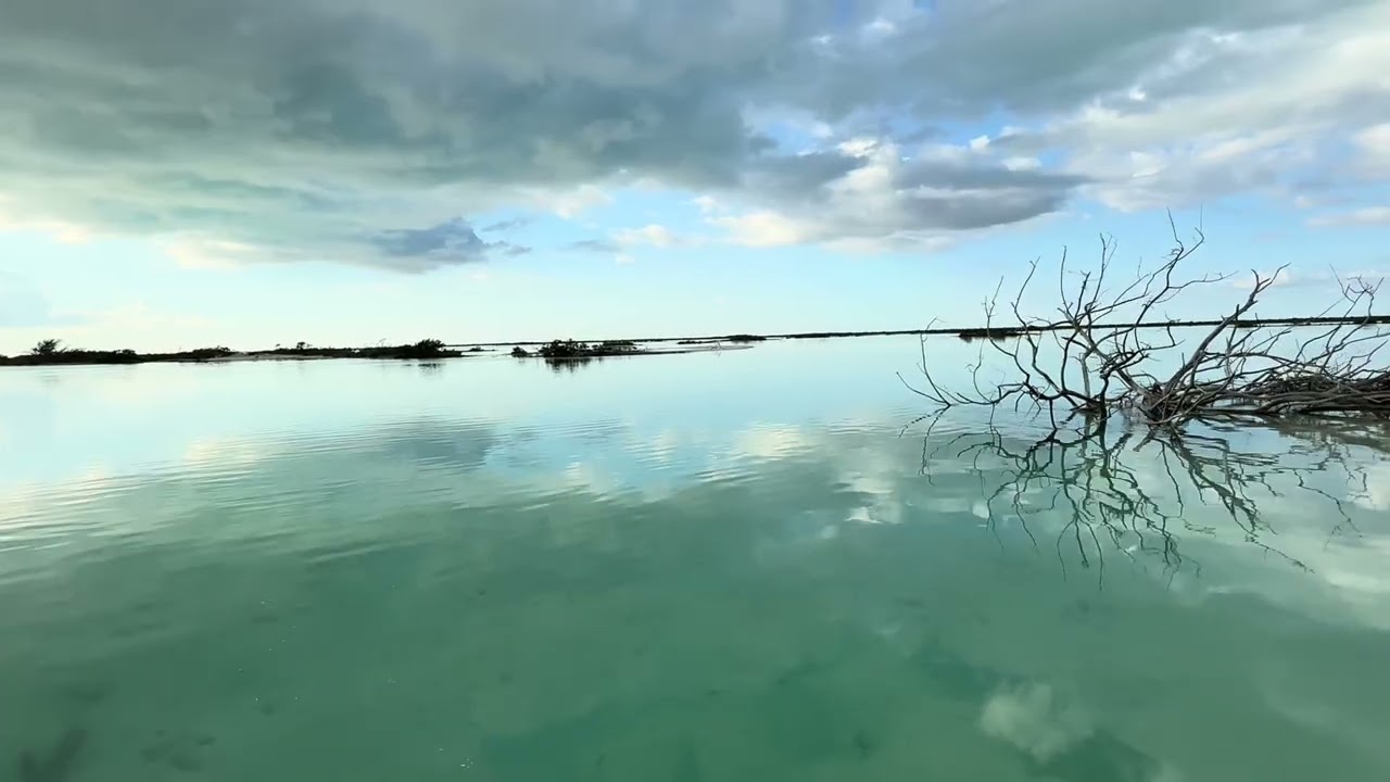 Long Island, Bahamas Bonefish Tour