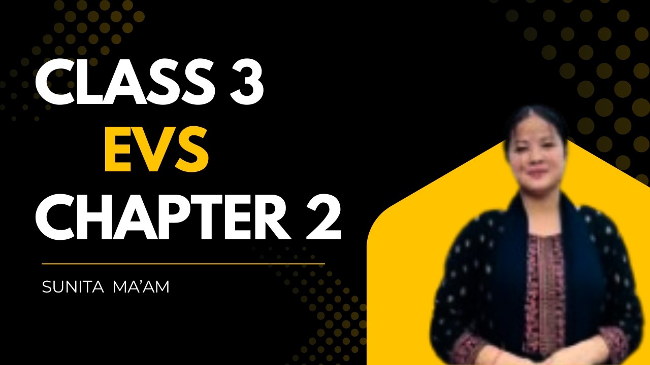 SEBA Class 3 Environment Chapter 2 আমাৰ বিদ্য়ালয় | EVS Class 3 Chapter 2 Explanation