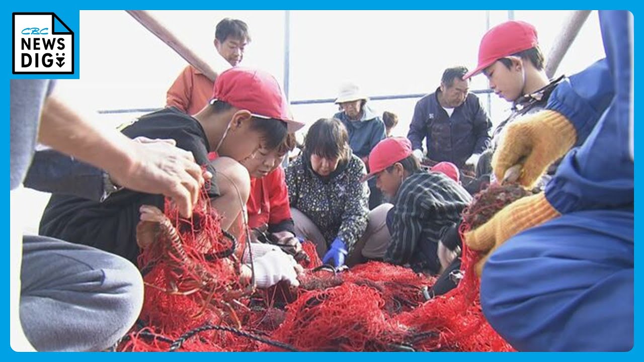 伊勢エビの｢刺し網漁｣を小学生が体験  40キロの伊勢エビを水揚げし&hellip;児童らは｢楽しかった｣｢いい体験になった｣ 三重･志摩市
