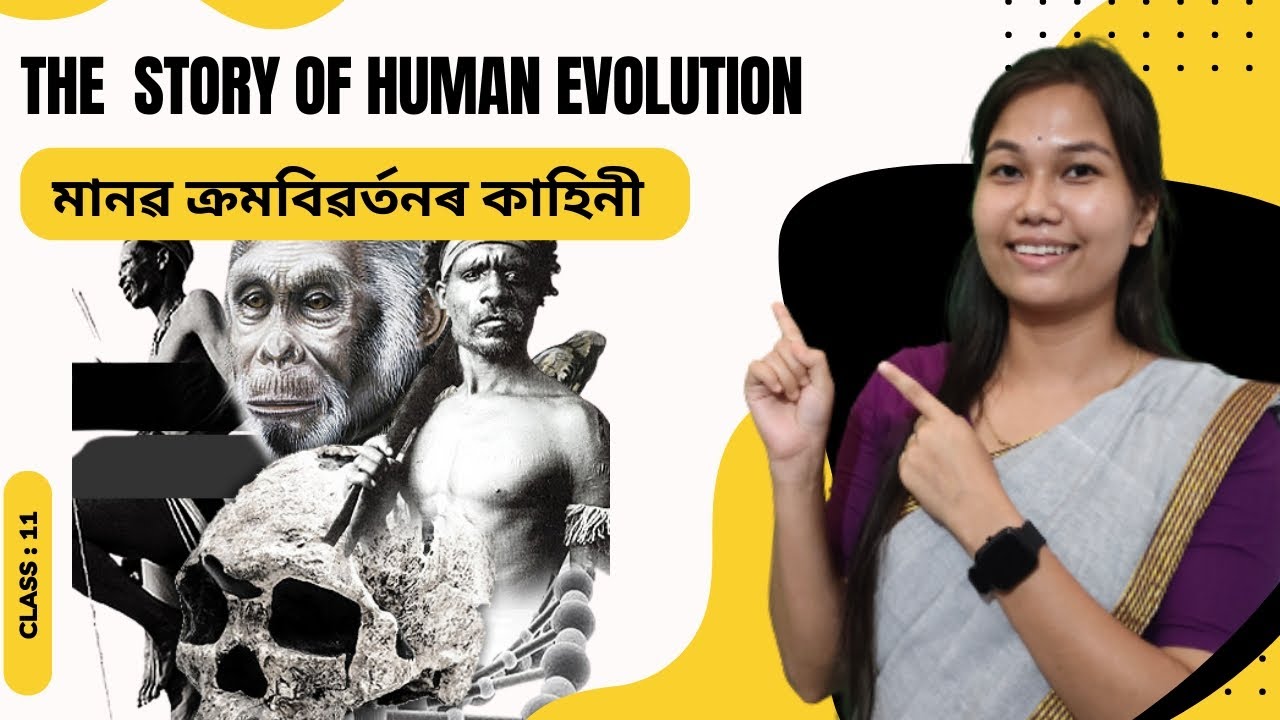 The Story of Human Evolution || History|| class 11 || Pythagoras Classes