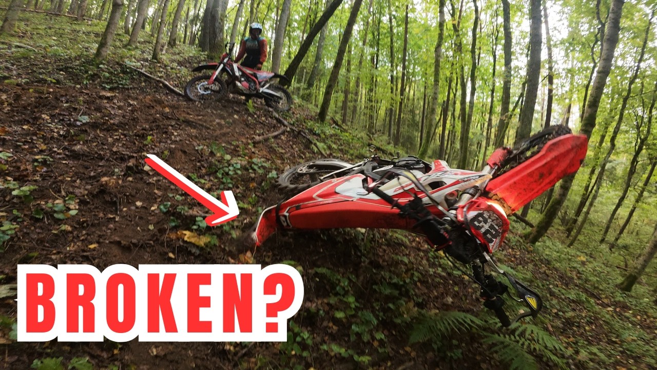 We are not welcome: Enduro Battles in the Forest | Beta RR390 X-Pro