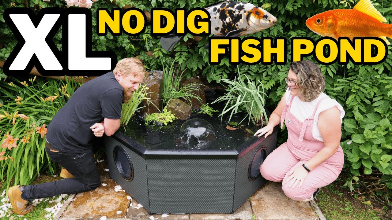Easiest BIG goldfish pond ever. Built by my wife (A Total Beginner!)