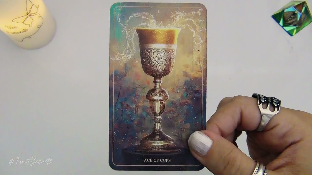 💖 Vem ALGUÉM NOVO para minha VIDA AMOROSA? Independente de eu querer ou não | Tarot