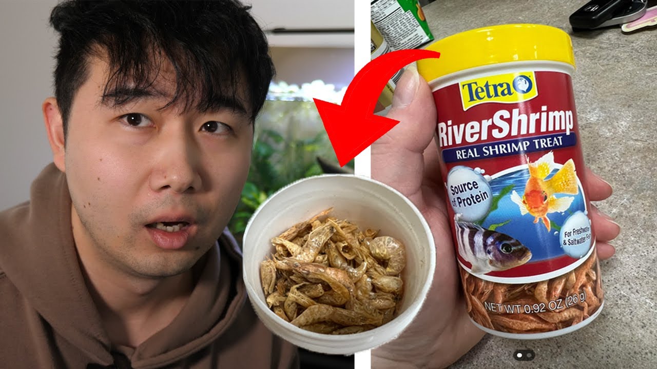 my wife ATE THESE before I told her it's FISH FOOD | Fish Tank Review 301