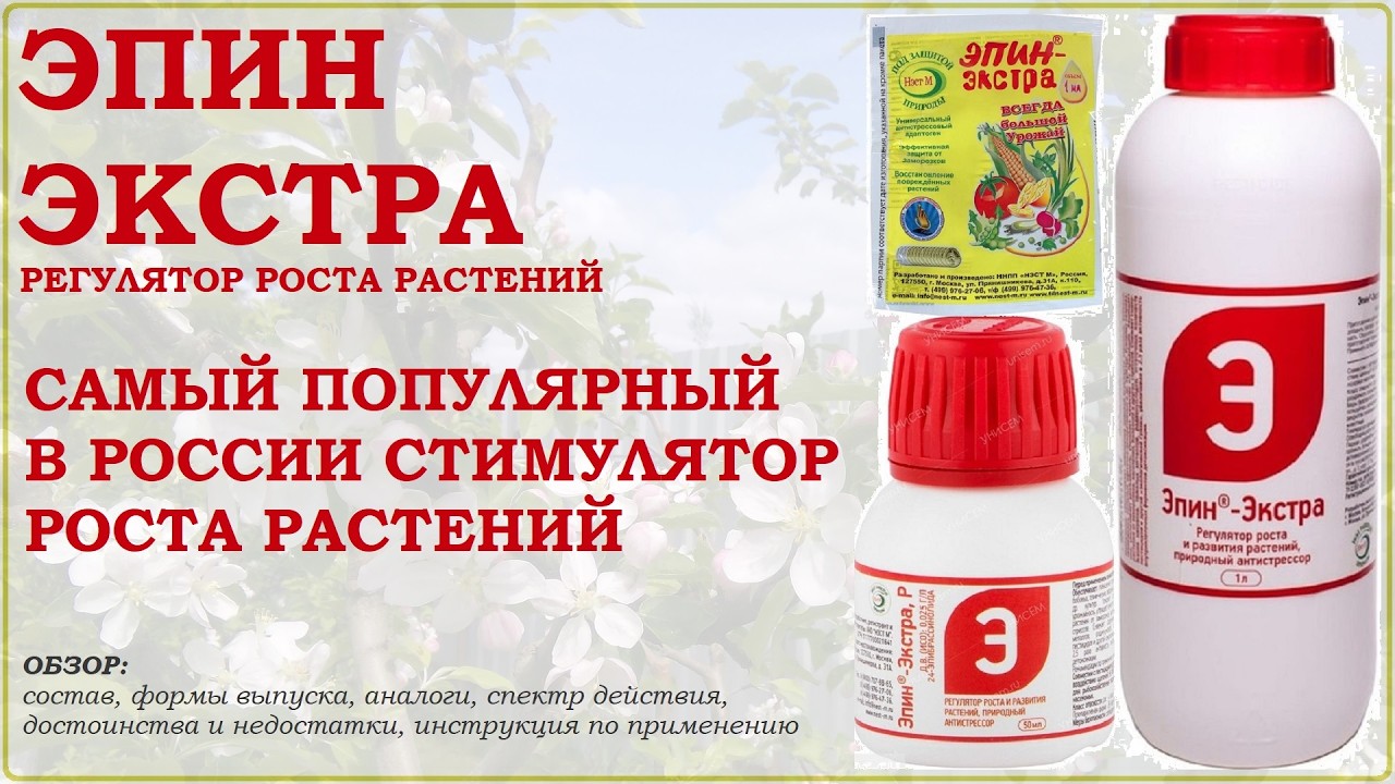 Эпин Экстра &ndash; самый популярный в России стимулятор роста растений и антистрессовое средство. Обзор