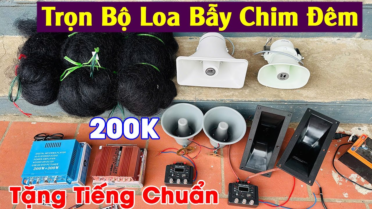 Trọn bộ loa bẫy chim đêm giá rẻ nhất thị trường | Âm ly, Loa Toa, Loa Chéc, Lưới Bẫy chim mới 2025