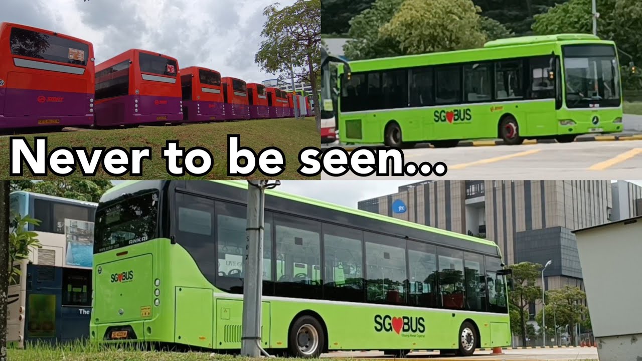 You Will Probably Never See These Buses Again.