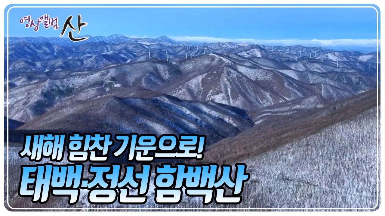 새해 해맞이 산행지로 사랑받는 산! 주변 산세를 한눈에 담을 수 있는 멋진 경관에 눈부신 설경이 더해진 함백산으로의 여정 [영상앨범 산] KBS 260222 방송