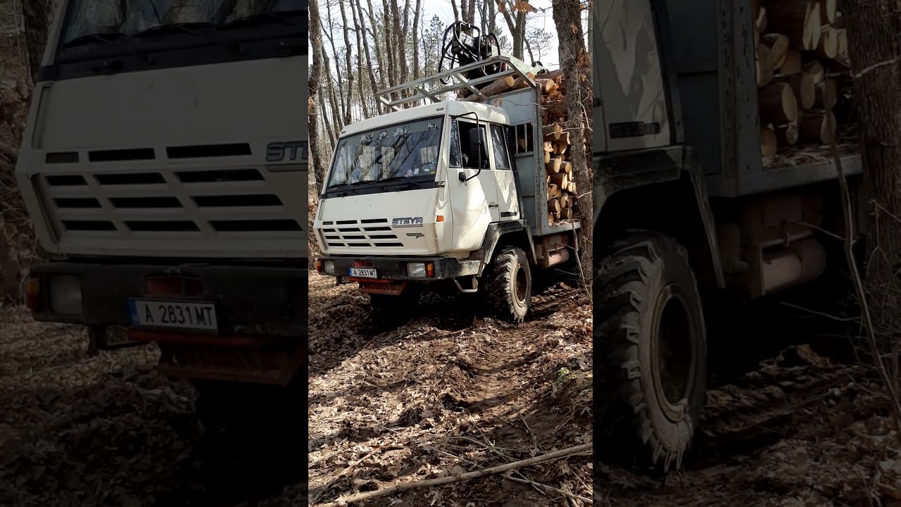 steyr 6x6 kran