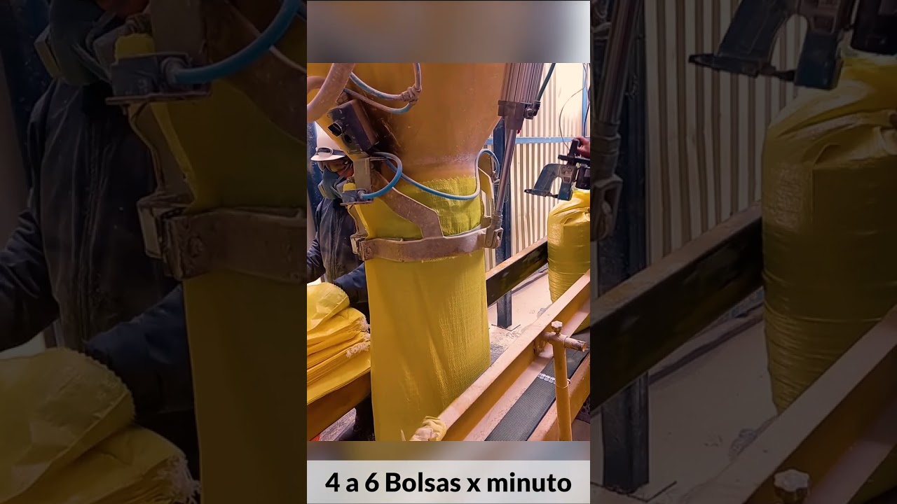 Actualizaci&oacute;n de Sistema de Ensacadora