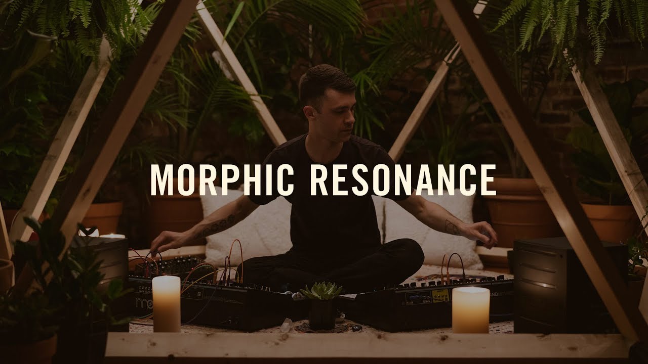Moog Matriarch | Lightbath | Morphic Resonance