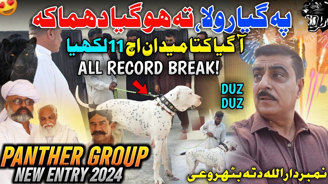 LOO JEE ! Panther Group Making Big Record 2024 😍 Aa Gaya New Blockbuster Kutta 11 Lakhiya ||