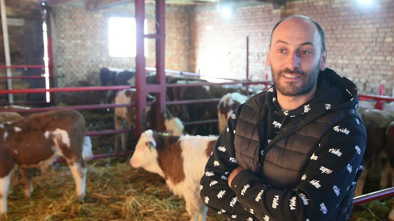RATUJEM SAM!!! Bez dinara pomoći države TOVE JUNAD DECENIJAMA!