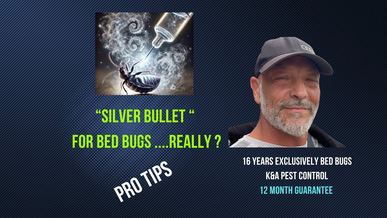 Silver Bullet, All - In-One Bed bug Solution ?