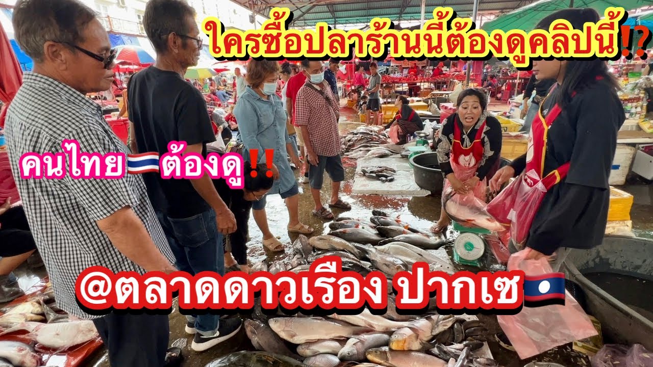 คนไทย🇹🇭ต้องดูคลิปนี้‼️หาซื้อปลาก่อนกลับอุบลที่ตลาดดาวเรือง ปากเซ🇱🇦ไม่คิดว่าจะเจอแบบนี้⁉️ #ปากเซ