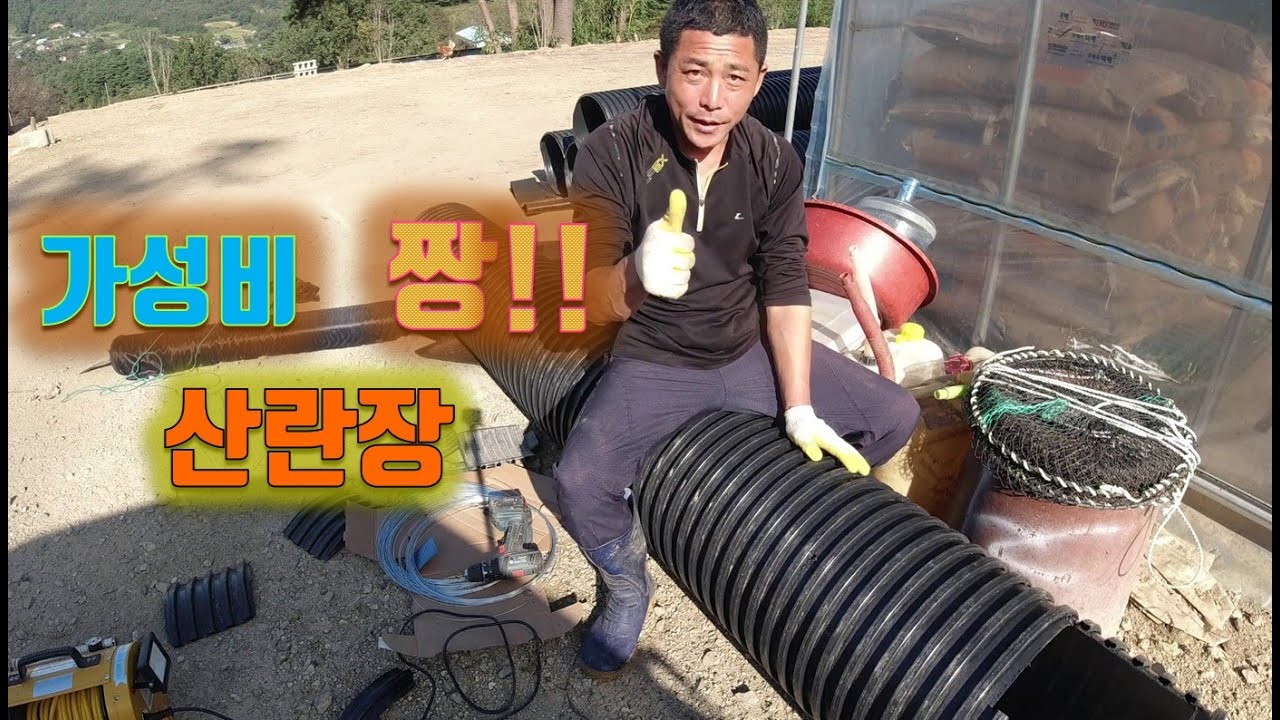 값비싼 산란장 보다 400mm 주름관이 가성비 최고 산란장으로 따봉~! 💯 산란장 완성되기 전부터 다가오는 암탉들-귀농한 특전사의 라이프