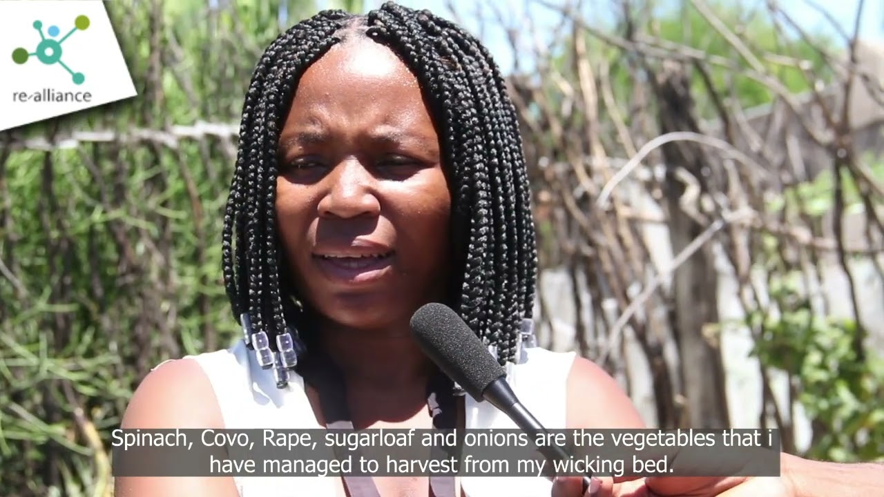 Promoting wicking beds in Tongogara Refugee Camp