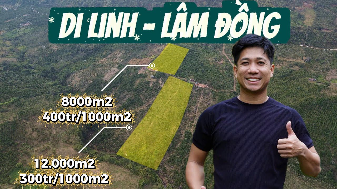 Chỉ 300 Triệu! 1000m² Đất Trồng Cà Phê Có Suối To Cuối Đất – Cơ Hội Hiếm