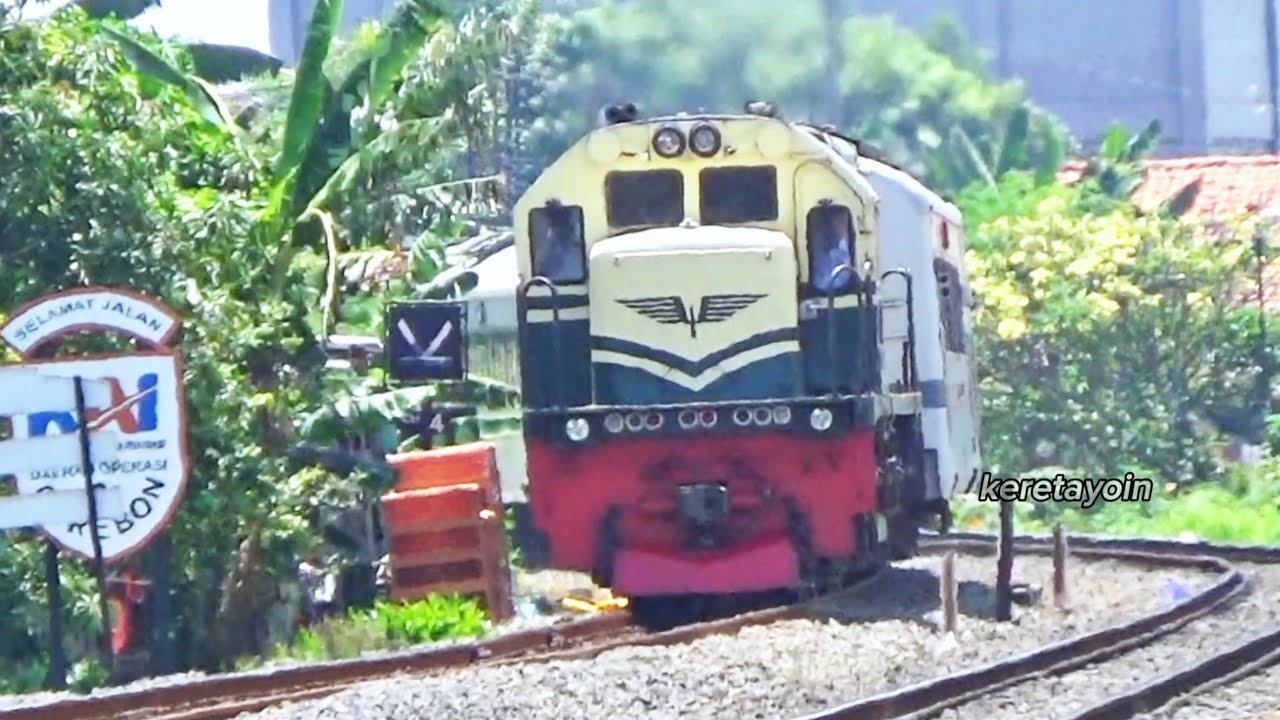 KERETA API PANJANG‼️ MENEMUKAN 11 KERETA API DI PERLINTASAN JPL 210 & 260 TEGAL | RAILROAD CROSSING 