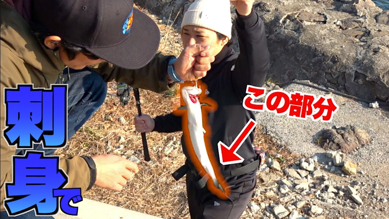１匹からわずかしか取れない貴重な刺身を食べてみると・・・！？