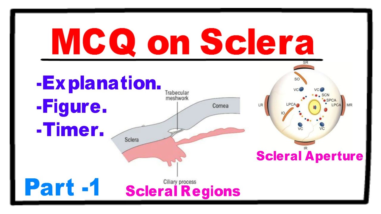 MCQ on Sclera - Part 1