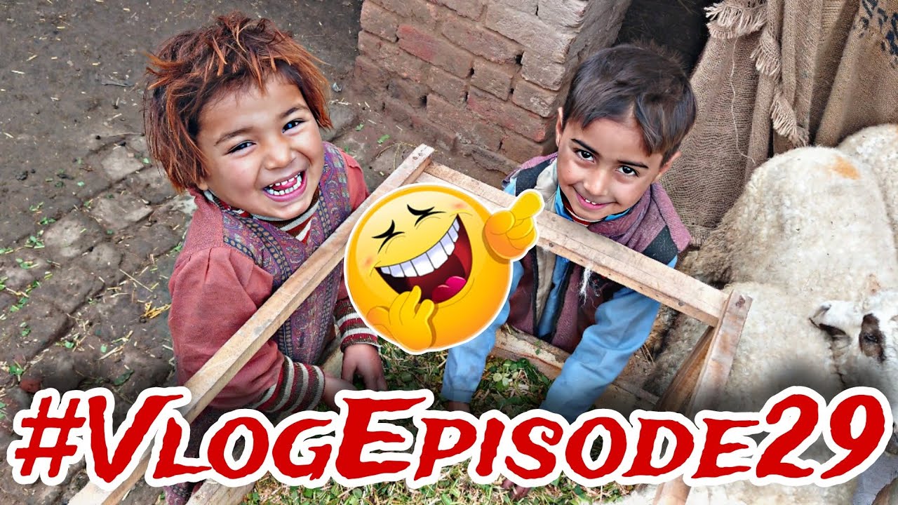 Ali Zainab daily life vlog Episode No 29 | Aaj dono Ne chatroo ki khidmat ki 😀 Khana khilaya 🤣