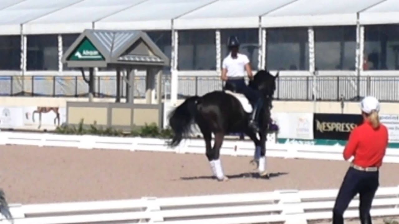 How To Do Canter Pirouettes With Robert Dover and Debbie McDonald
