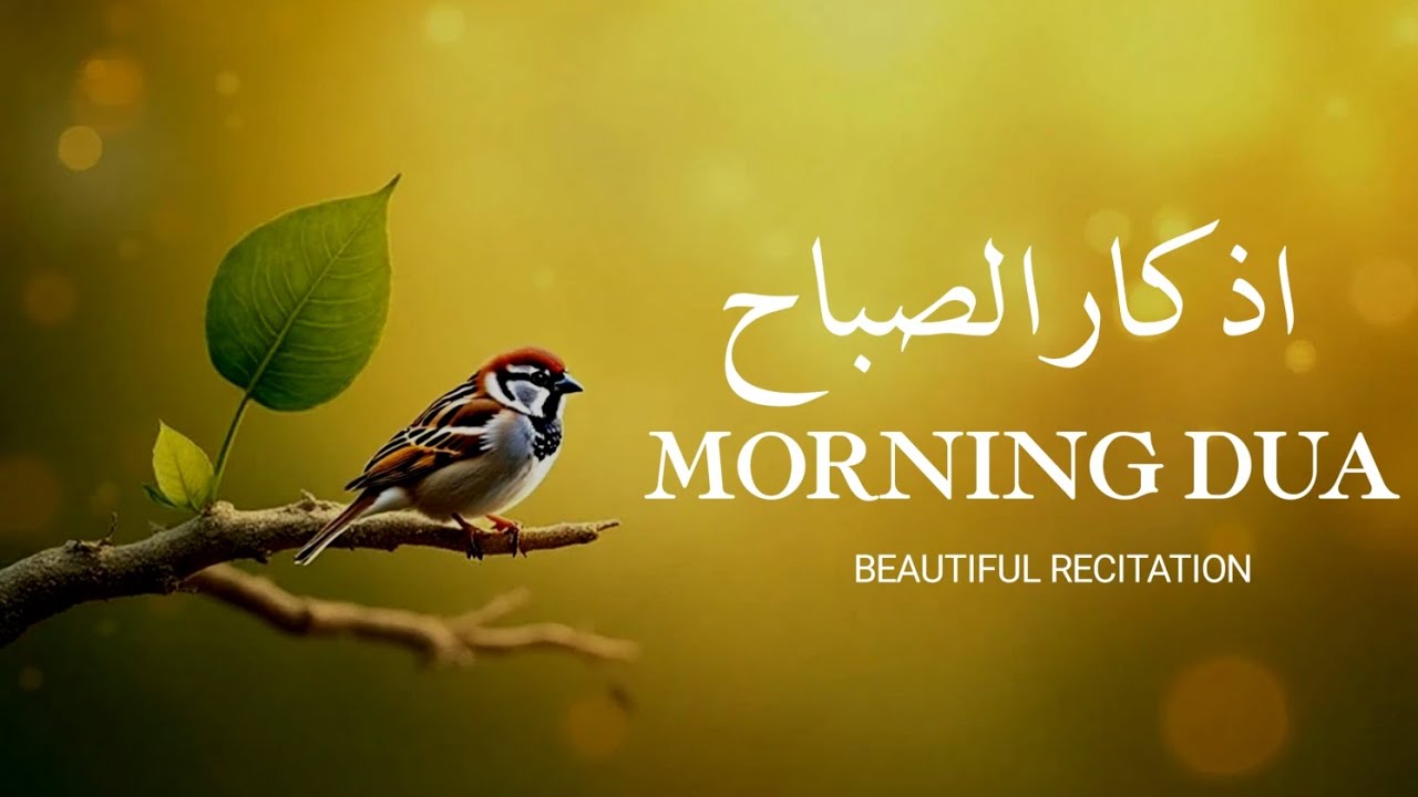 Morning Dua (أذكار الصباح) for Protection, Blessings, Rizq & Tasbih | Recited by Omar Hisham 