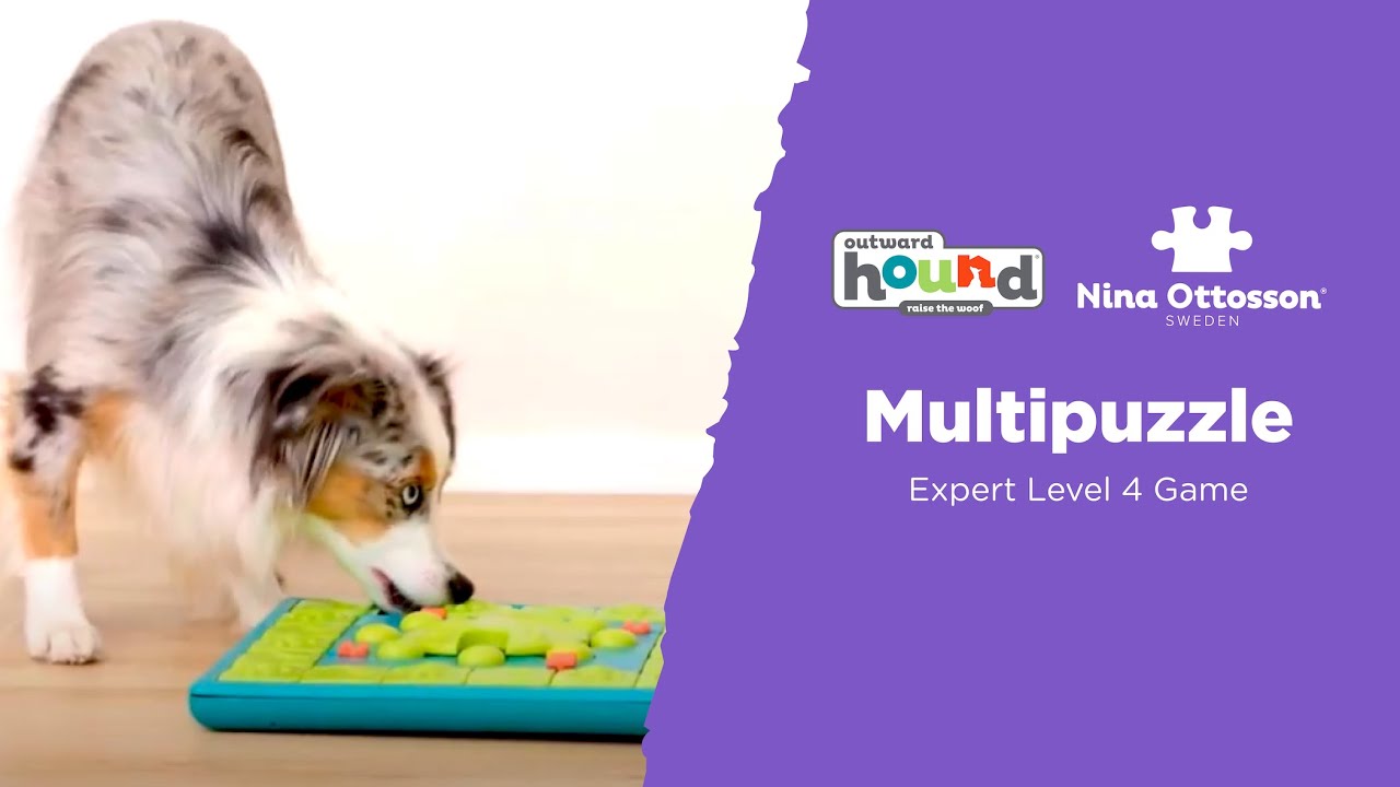 Nina Ottosson Multipuzzle | Outward Hound