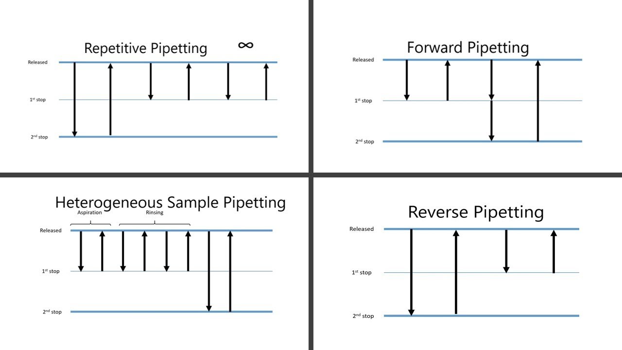Basic Pipetting Cont.