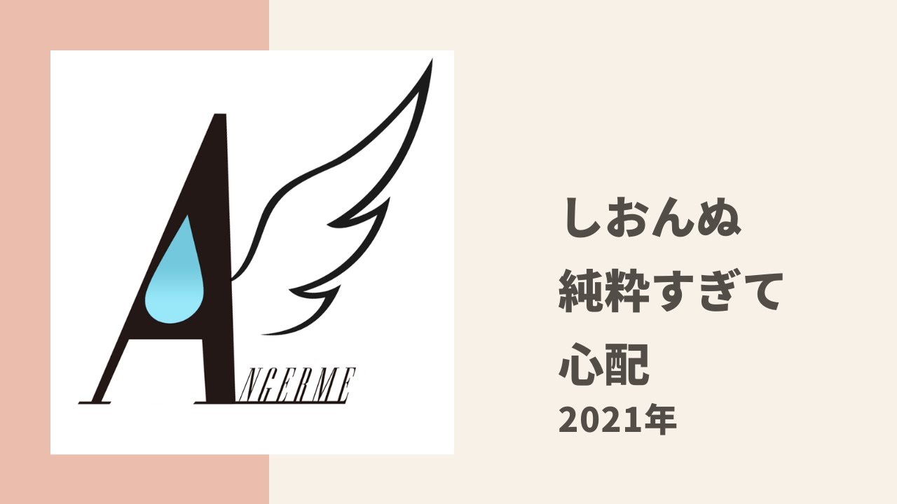 【アンジュルム】しおんぬが純粋でいい人すぎるのでメンバーが心配している