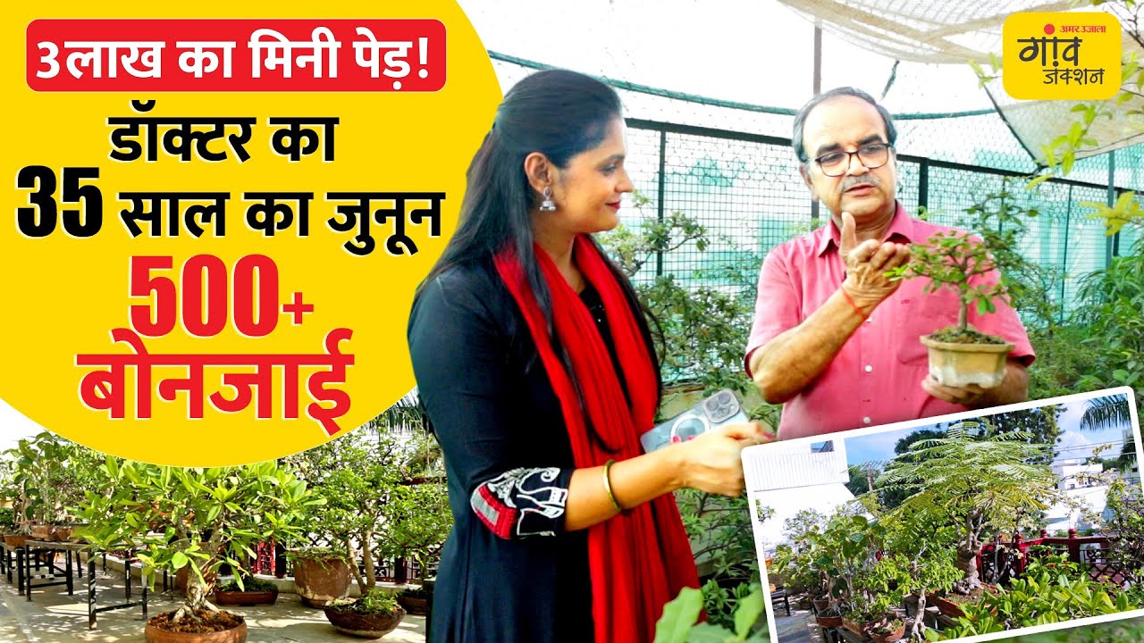 शौक जिसने बदली जिंदगी | डॉक्टर के 500 बोनजाई पौधे, कीमत जानकर रह जाएंगे हैरान।Gaonjunctionlive