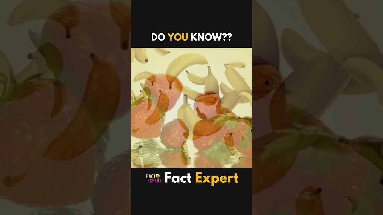 Fascinating Facts: Snails, Earthquakes, Bananas & More! 🐌🌍🍌 | Fact Expert