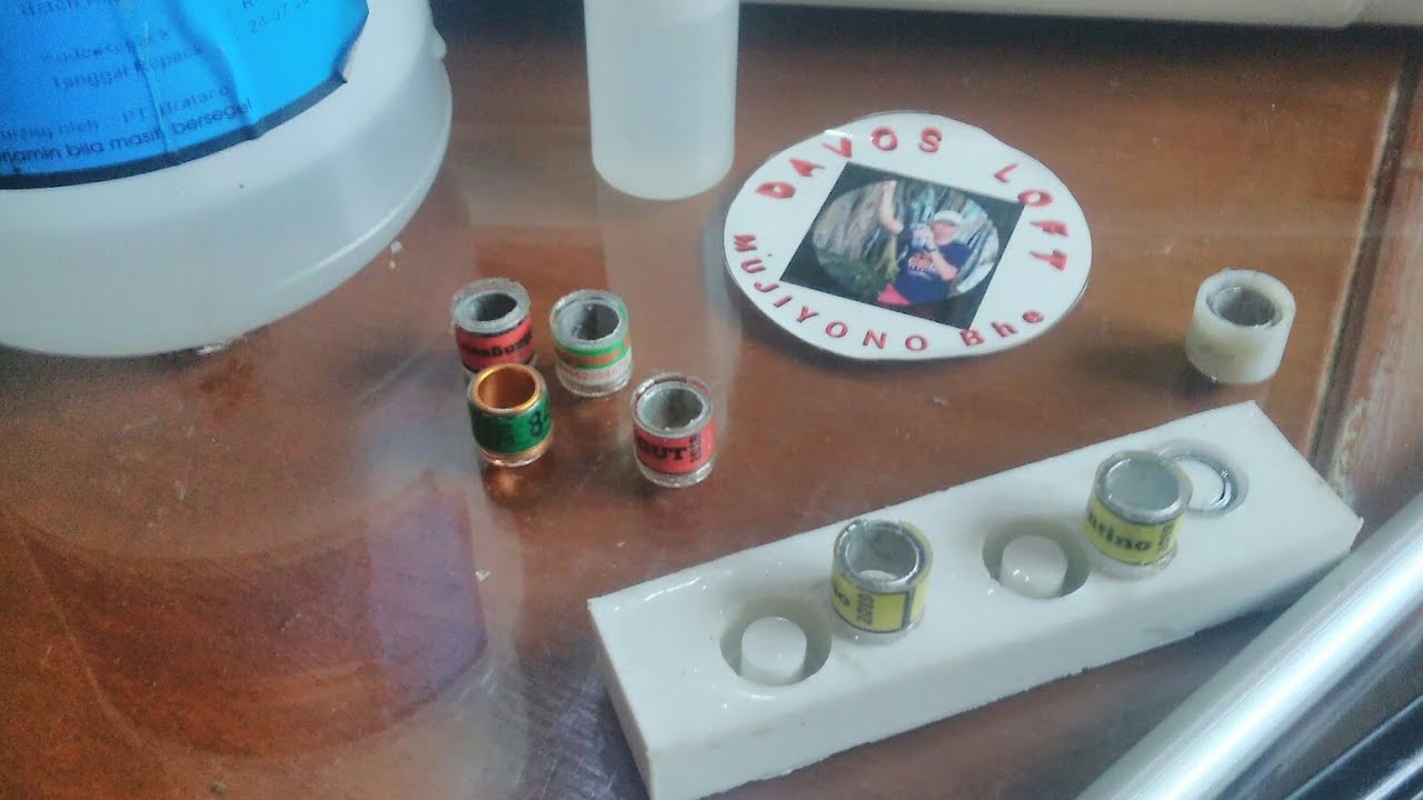 Cara membuat cincin/ring merpati kualitas spt pabrikan. berbahan dasar RESIN / DIY ring Pigeon