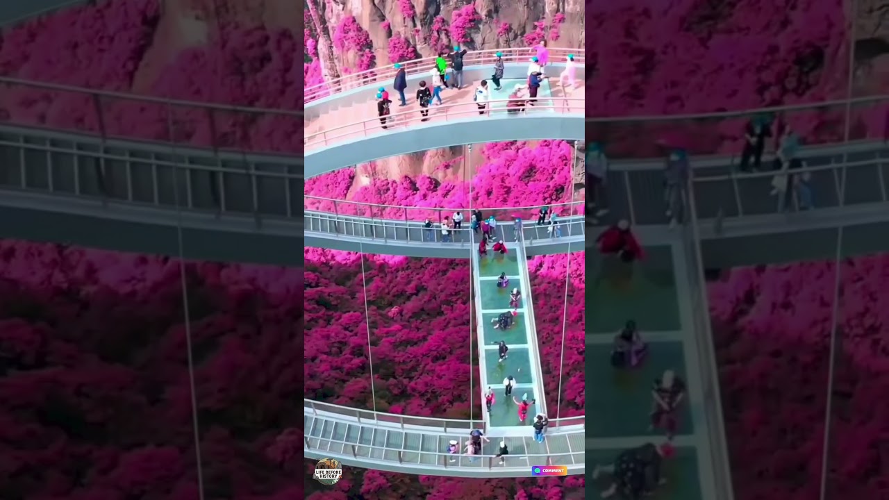 The Most Terrifying but Beautiful Glass Bridge in the World! 🌸✨ #shorts  #china  #glassbridge