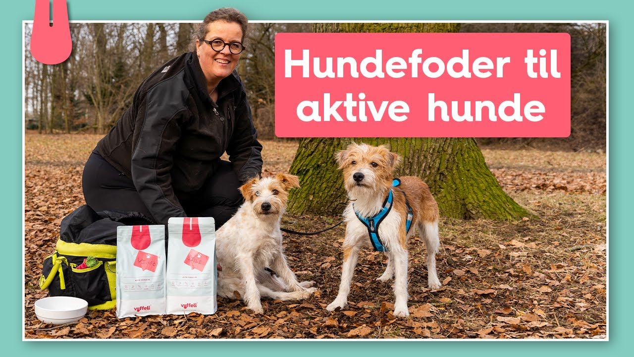 Mød Sine og agilityhundene Sille og Viggo | Vuffeli