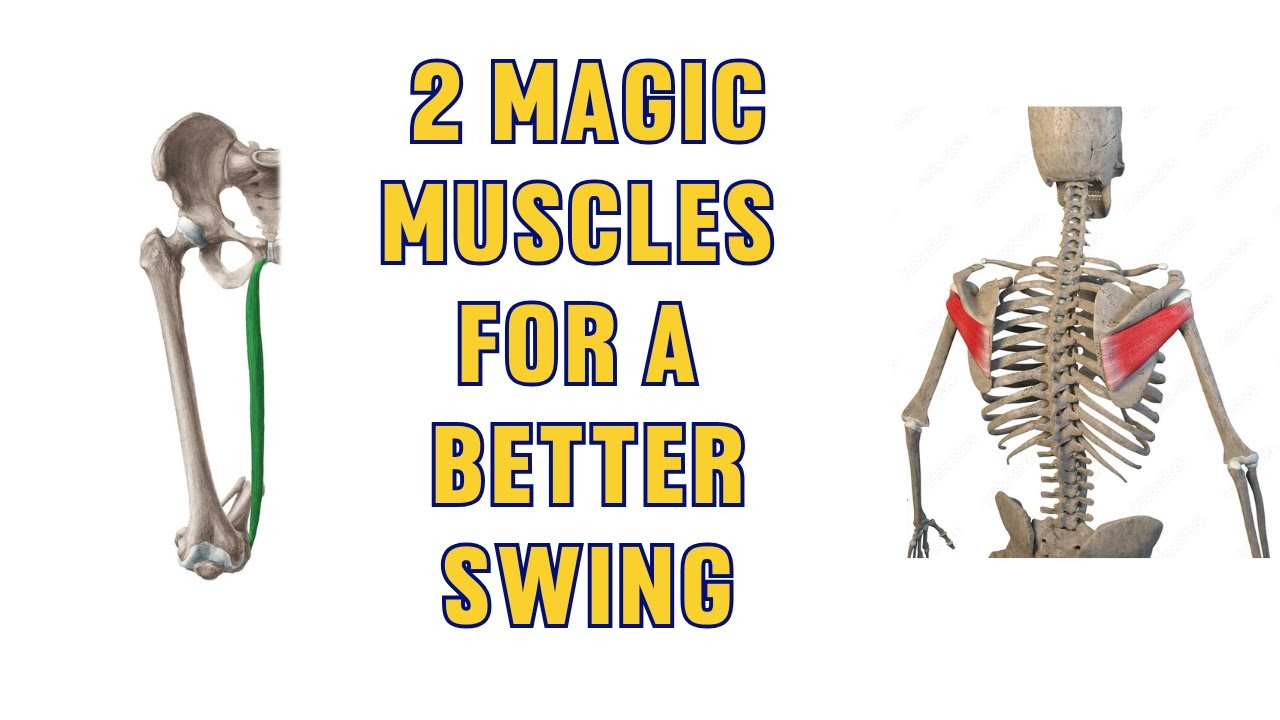 You Must Use These 2 Muscles To Master Arm and Leg Rotation