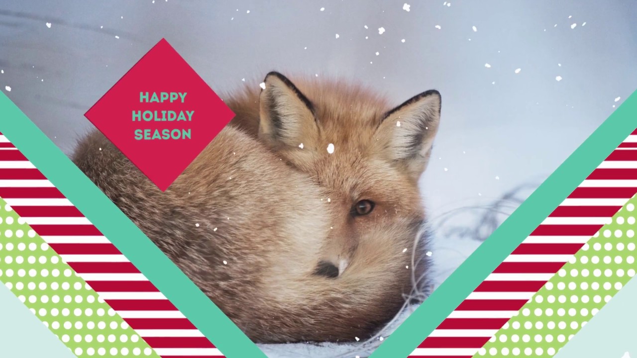 Christmas Card Video Template