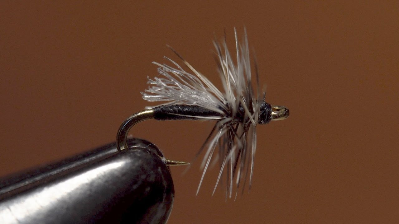 Matt's Midge