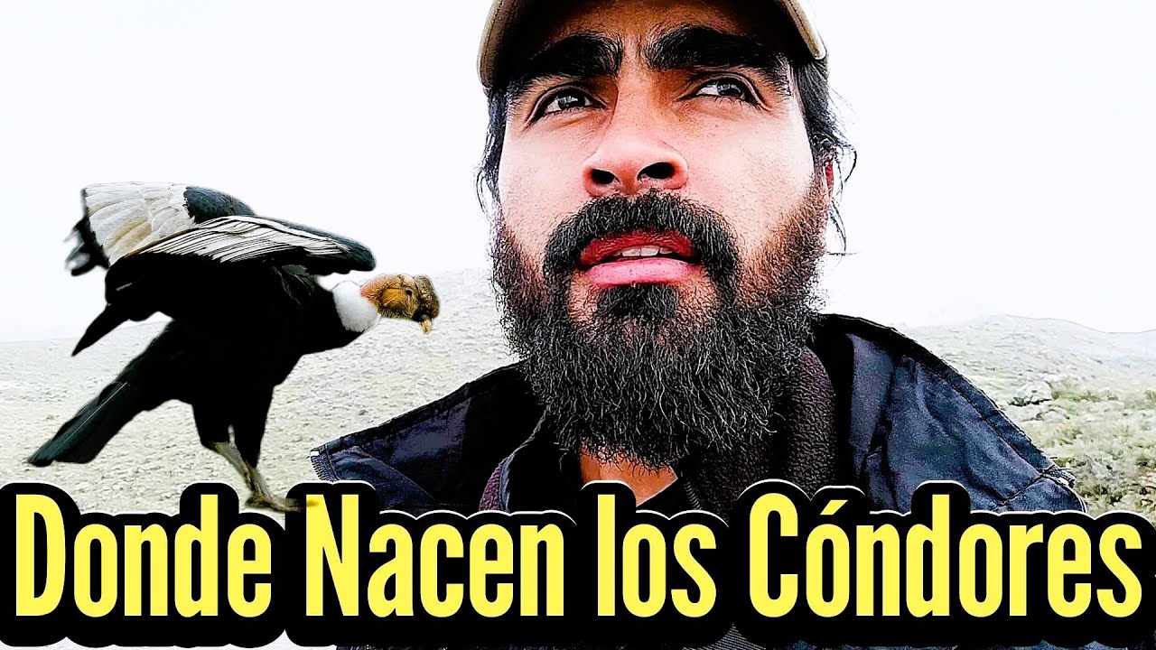El Cañón del Colca: El Lugar Olvidado Más Asombroso del Perú