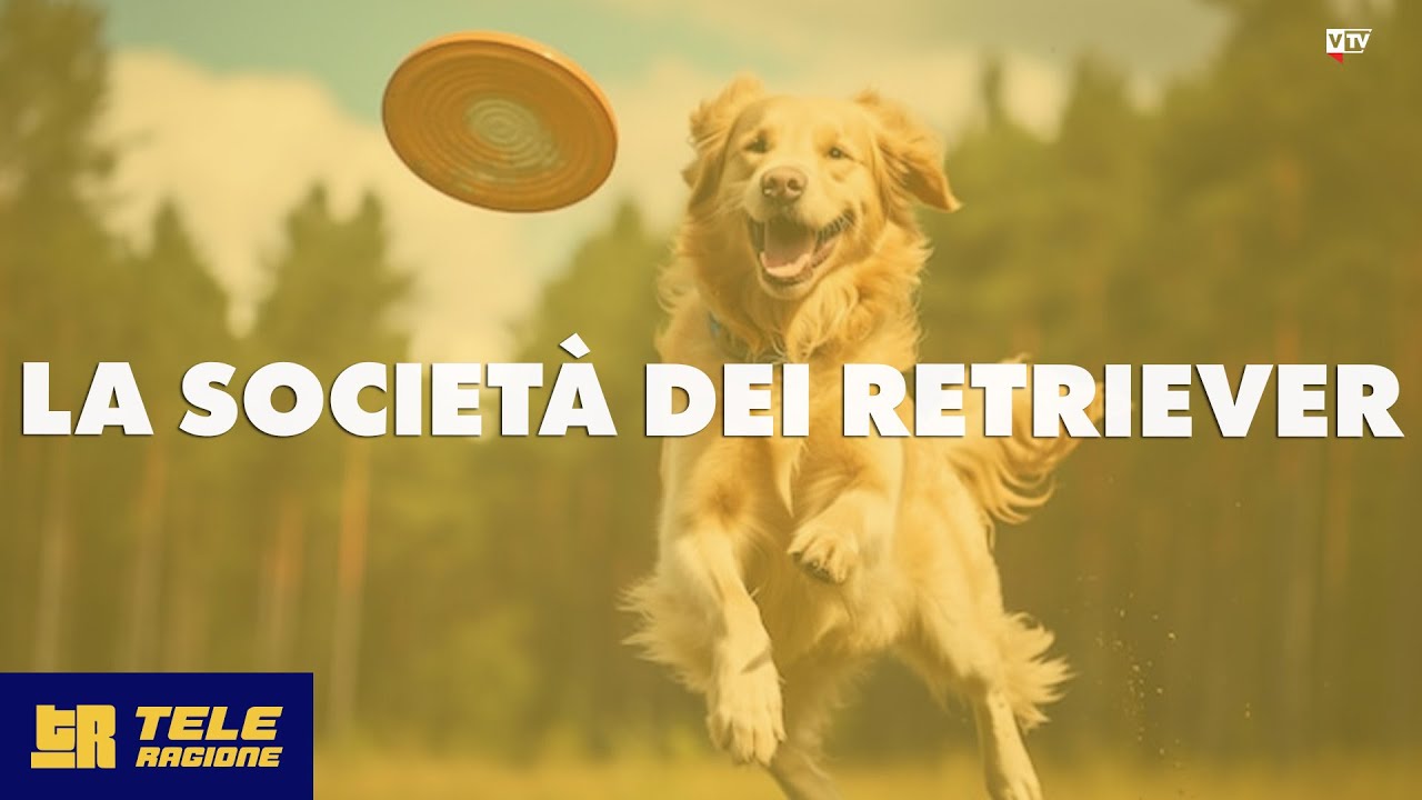 La societ&agrave; dei retriever - TELERAGIONE