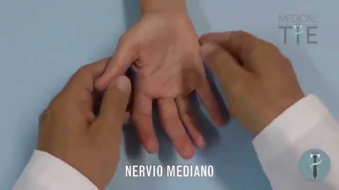 MEJOR TUTORIAL: Examen físico de mano - www.medicaltie.com