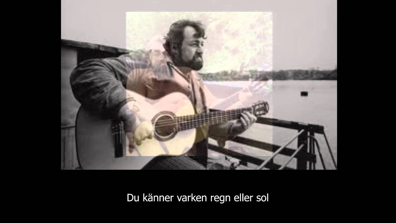Cornelis Vreesvijk 