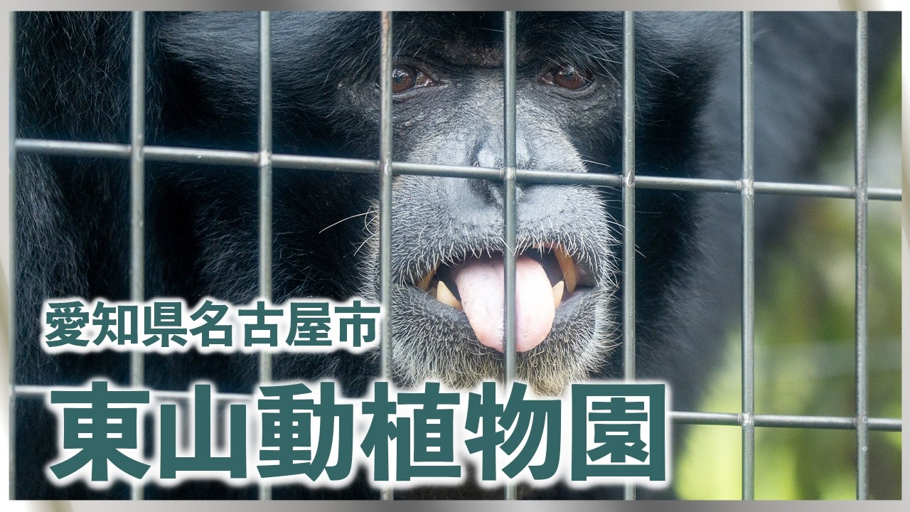 【東山動植物園】動物園、植物園[Higashiyama Zoo and Botanical Garden] Zoo, botanical garden＃greenhouse＃観光＃行楽地＃遊園地＃公園