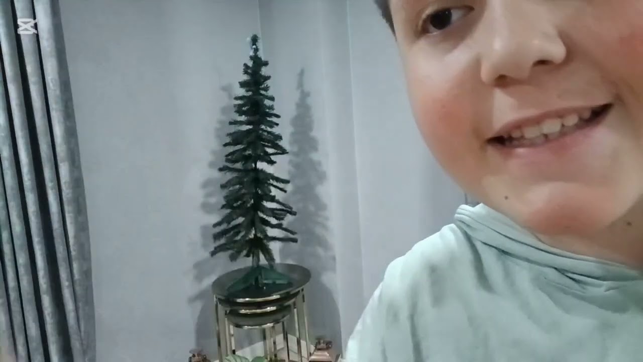 ÇAM AĞACI SÜSLÜYORUZ🎄🎋|AĞACA LABUBU TAKTIM