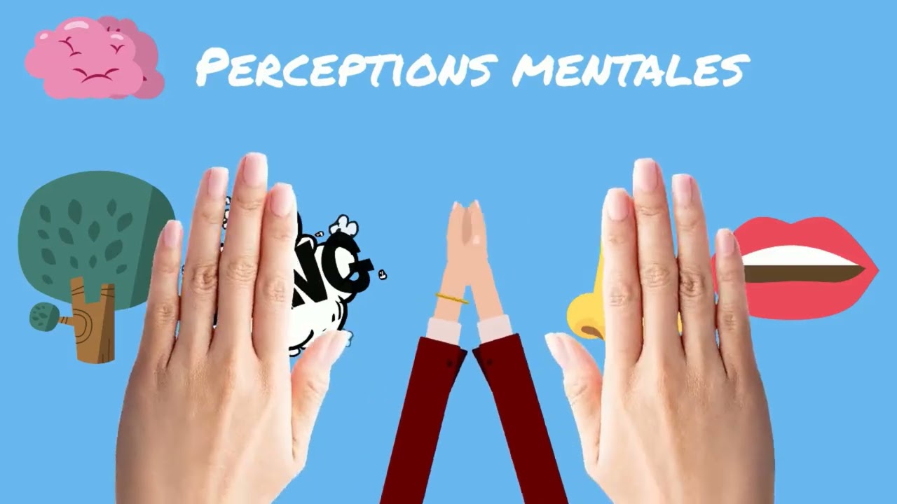 Sensation et perception : chapitre complet
